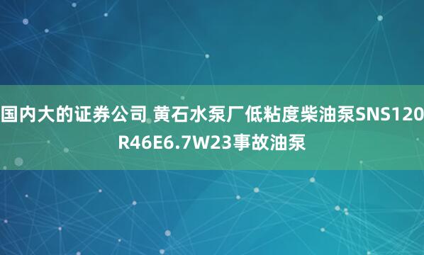 国内大的证券公司 黄石水泵厂低粘度柴油泵SNS120R46E6.7W23事故油泵